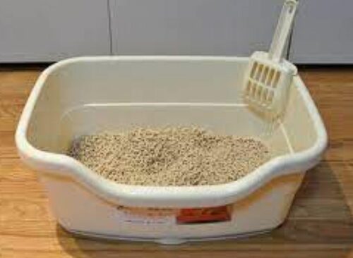 Correct Litter Box Placement Strategies